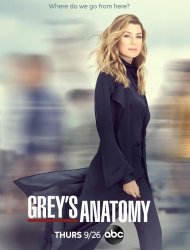 Grey's Anatomy saison 16