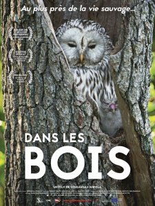 Dans les bois